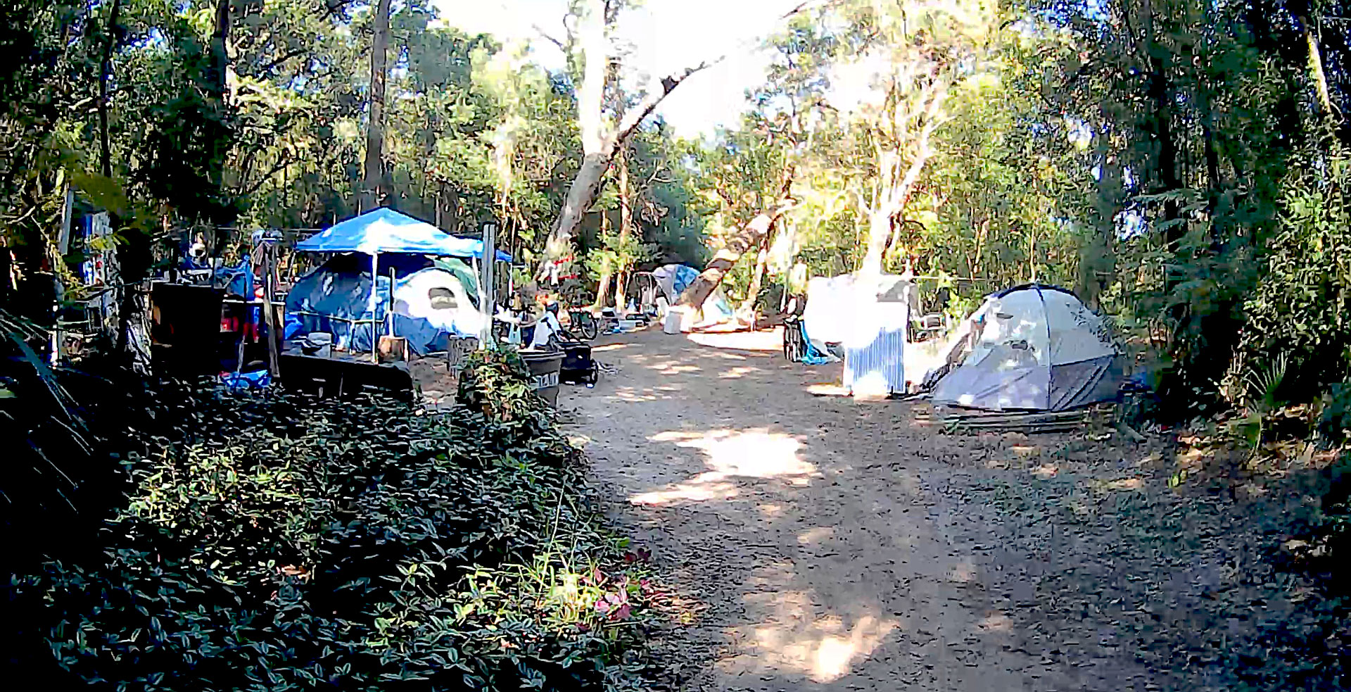 The Lamb Lane Project camp entrance